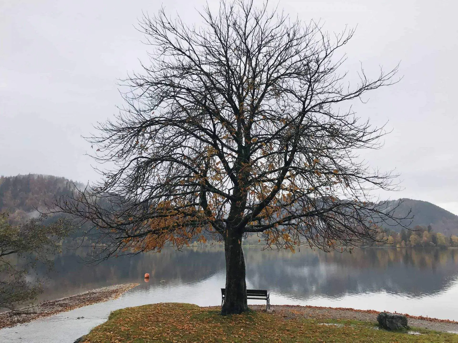 Marco S., 34, Designer
